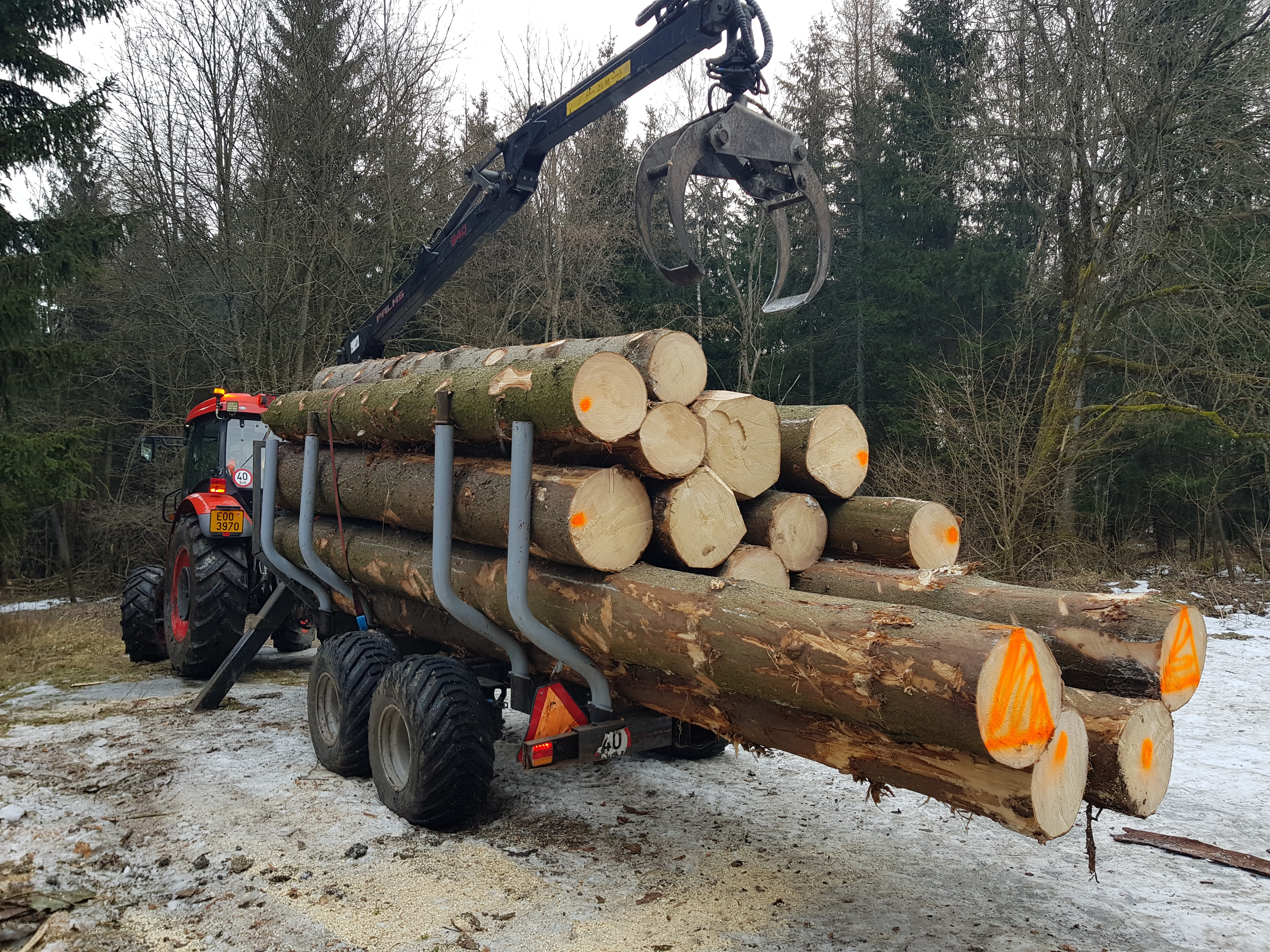 Odvoz kulatiny – ukázka práce